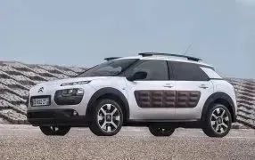 C4 CACTUS